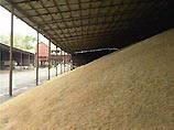 Лукашенко приказал собрать 6 млн. тонн зерна 