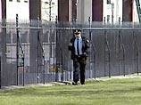 Ранее другая птица была обнаружена в нескольких метрах от Белого дома Ранее другая птица была обнаружена в нескольких метрах от Белого дома