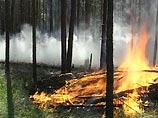 На Камчатке продолжаются сильные лесные пожары