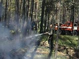 Зарегистрировано 14 очагов лесных пожаров на площади более 18 тысяч гектаров