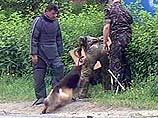 На место происшествия был вызван кинолог со специально обученной собакой На место происшествия был вызван кинолог со специально обученной собакой