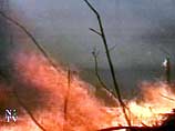 В Шатурском районе пожары наиболее интенсивны