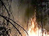 С начала засушливого в этом году летнего периода в российских лесах возникло более 20 тысяч очагов возгорания