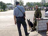Аноним сообщил о заминировании всех отделений милиции Москвы Аноним сообщил о заминировании всех отделений милиции Москвы