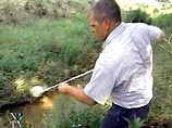 Население Вашингтона и его пригородов приступило к активной борьбе с комарами Население Вашингтона и его пригородов приступило к активной борьбе с комарами