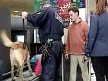 В США служба безопасности аэропорта заставила кормящую мать пить собственное молоко