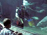 Они призвали руководство национального аквариума Шотландии (Deep Sea World) прекратить продажу экзотических даров моря ресторанам