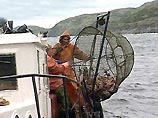 Рыболовы гибнут в 50 раз чаще, чем рабочие других специальностей