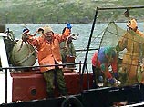 Самая опасная профессия в Великобритании - ловля рыбы на траулере