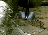 Будущий парк-заповедник будет посвящен ледниковому периоду Будущий парк-заповедник будет посвящен ледниковому периоду