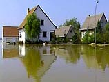 Вода медленно отступает, оставляя после себя кашу из мусора, тины и мертвых животных Вода медленно отступает, оставляя после себя кашу из мусора, тины и мертвых животных