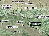 Россия отвергает обвинения Грузии в бомбардировке Панкисского ущелья