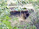 Заключенные прорыли подкоп длиной более 20 метров под ограждением исправительной колонии номер 1, расположенной в селе Молдавановка