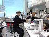 Американские ученые создали топливо на сахаре Американские ученые создали топливо на сахаре
