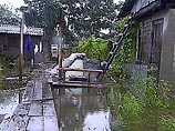 К Приморью подошел тайфун "Руса"
