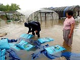 Официальные данные не отражают поступавших в воскресенье во второй половине дня новых данных о жертвах тайфуна