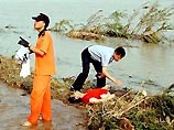Сведения о новых жертвах и ущербе поступают практически каждый день по мере проведения поисково-спасательных работ Сведения о новых жертвах и ущербе поступают практически каждый день по мере проведения поисково-спасательных работ