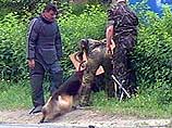 На плакате с грамматическими ошибками написано: "Русские свиньи, убирайтесь за Урал" На плакате с грамматическими ошибками написано: "Русские свиньи, убирайтесь за Урал"