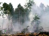 775 млн. рублей затрачено в этом году на тушение лесных пожаров в России