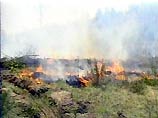 Экологический ущерб, причиненный пожарами лесному фонду страны, еще предстоит уточнить