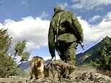 Военные передали Путину предложения по усилению южных границ Военные передали Путину предложения по усилению южных границ
