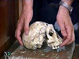 Останки принадлежат двум видам предков людей - "гомо эректус" (человек прямоходящий) и "австралопитукус бойзей" Останки принадлежат двум видам предков людей - "гомо эректус" (человек прямоходящий) и "австралопитукус бойзей"