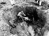 В болоте под Калининградом нашли самолет с останками летчика, погибшего в 1944 году