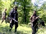 Чеченские боевики договорились с властями Грузии и покинули Панкисское ущелье