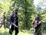 Боевик из отряда Гелаева подтвердил сообщения о ранении своего командира Боевик из отряда Гелаева подтвердил сообщения о ранении своего командира