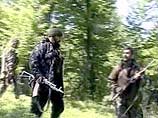 
ФСБ России подтвердила, что в Ахметском районе Грузии есть лагеря по подготовке террористов 
