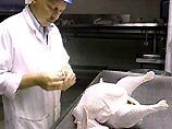 В США изымают из торговли 14 тыс. тонн мяса птицы