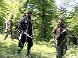 Правительство Чечни: у боевиков не осталось сил для масштабных терактов