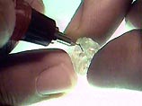 Гохран подвел итоги алмазного аукциона Гохран подвел итоги алмазного аукциона