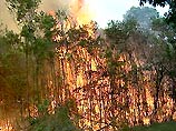 Лесные пожары угрожают Сиднею 