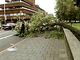 На севере Испании свирепствуют сильнейшие ветры - 3 человека погибли На севере Испании свирепствуют сильнейшие ветры - 3 человека погибли