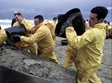 Испании угрожает самая крупная экологическая катастрофа в истории человечества Испании угрожает самая крупная экологическая катастрофа в истории человечества
