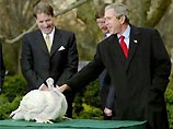 Во вторник вечером Джордж Буш провел в Белом доме церемонию помилования индейки