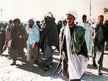 Зять лидера талибов муллы Омара был захвачен в ходе недавней операции в Афганистане