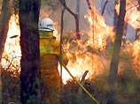 Борьбу с огнем ведут три тысячи пожарных расчетов, однако пока их усилия не приносят успеха