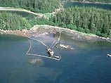 Exxon Mobil приговорили к штрафу в 4 млрд долларов за крушение в 1989 году супертанкера "Валдес" у берегов Аляски