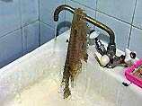 Большинство домов Ростова-на-Дону из-за морозов остались без водоснабжения
Большинство домов Ростова-на-Дону из-за морозов остались без водоснабжения