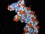С прошлого века одна венецианская семья страдает от смертельной формы бессонницы С прошлого века одна венецианская семья страдает от смертельной формы бессонницы
