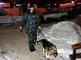 Как сообщили источники в правоохранительных органах столицы, специально обученная собака показала, что там может находиться взрывное устройство