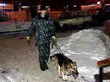 Как сообщили источники в правоохранительных органах столицы, специально обученная собака показала, что там может находиться взрывное устройство Как сообщили источники в правоохранительных органах столицы, специально обученная собака показала, что там может находиться взрывное устройство