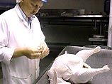 Россия вводит квоты на поставки импортного мяса птицы, свинины и говядины Россия вводит квоты на поставки импортного мяса птицы, свинины и говядины