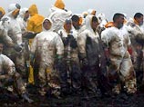 Нефть с затонувшего танкера 'Престиж' достигла берегов Франции Нефть с затонувшего танкера 'Престиж' достигла берегов Франции