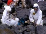 Очистка испанского побережья от нефти обойдется втрое дороже, чем предполагалось Очистка испанского побережья от нефти обойдется втрое дороже, чем предполагалось