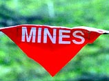 Нелегальные эмигранты подорвались на минном поле на турецко-греческой границе Нелегальные эмигранты подорвались на минном поле на турецко-греческой границе