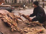 С Сочельником в Сербии связано много традиций и, в первую очередь, церемония вноса в дом и затем сжигания "бадняка" - связки дубовых веток С Сочельником в Сербии связано много традиций и, в первую очередь, церемония вноса в дом и затем сжигания "бадняка" - связки дубовых веток