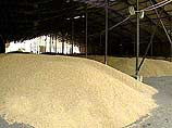 Россия и дальше будет ставить рекорды зернового экспорта